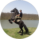 Dan Bugatti profile picture
